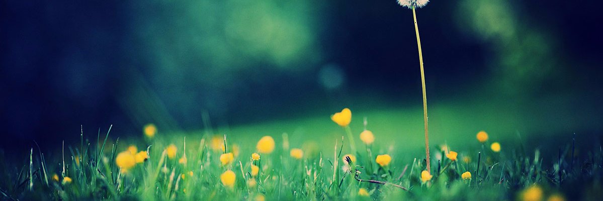 DanielaFC12's profile banner image