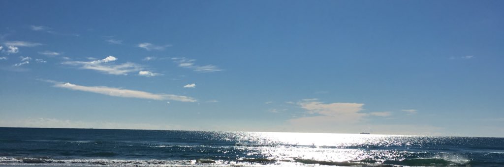 Mil-i-u ||*|| 🏴 banner