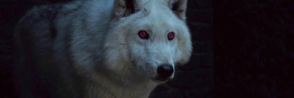 ValiantHowl's profile banner image