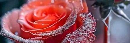 ASAD8819's profile banner image