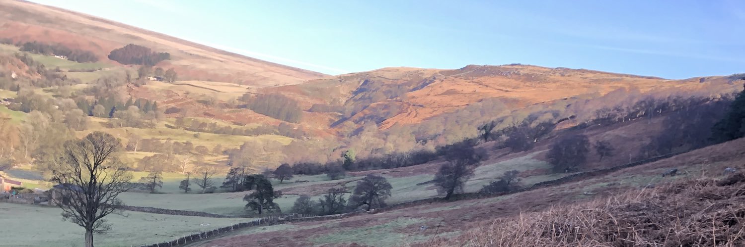 Side Step Kid banner