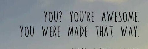 Katie DiLorenzo (she/her) banner