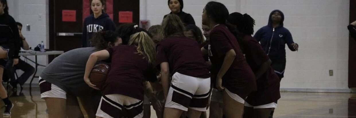 Lady Lion Basketball banner