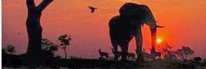 EleFacts101's profile banner image