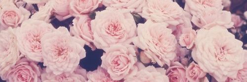 celegette_'s profile banner image