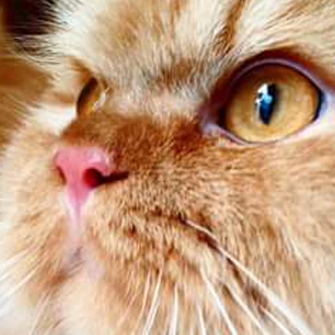CastaGladys's profile banner image