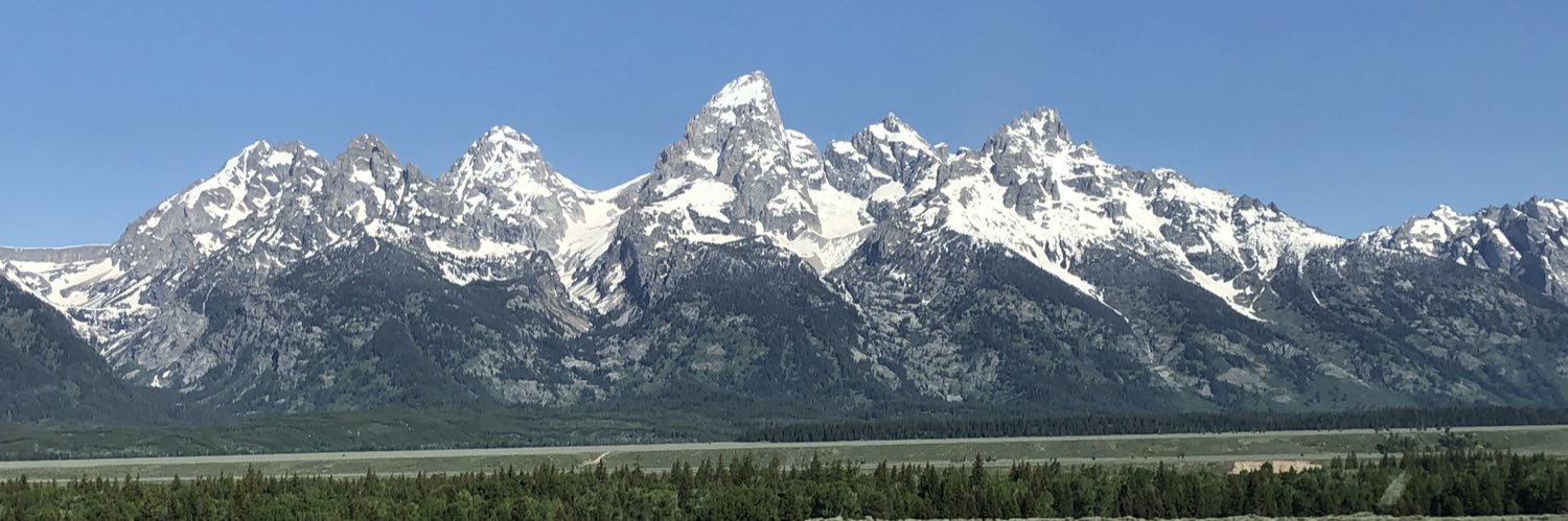 Shelly Schubert banner