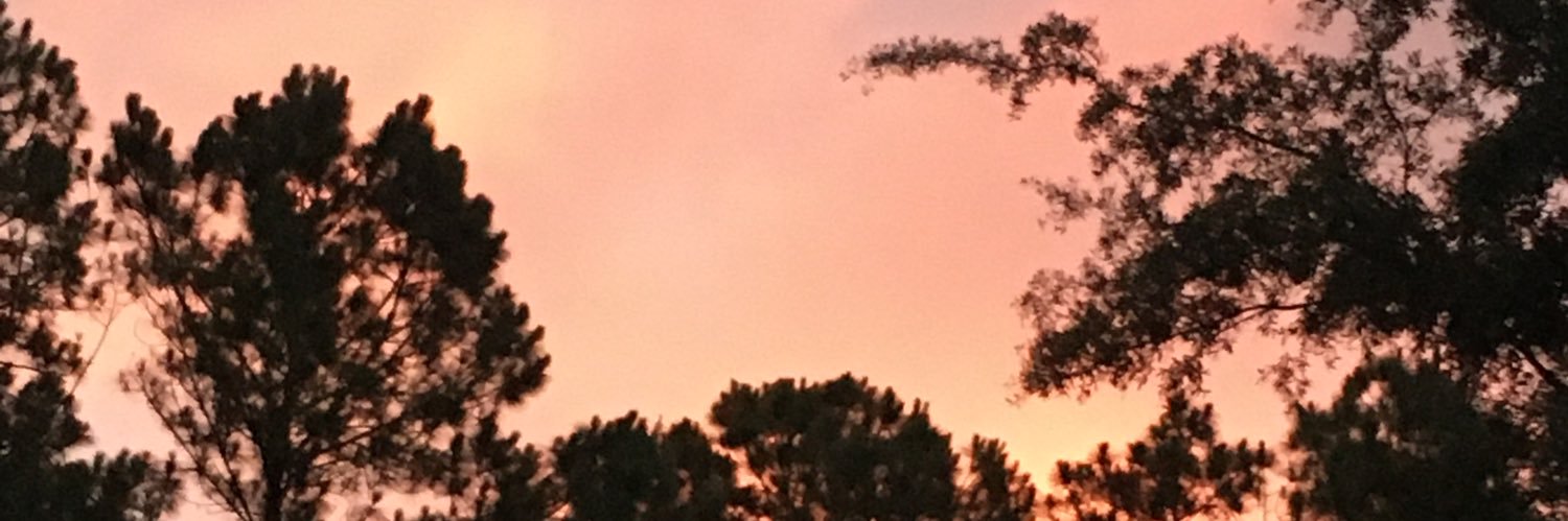 zach_roach's profile banner image