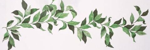 _Nickcole's profile banner image