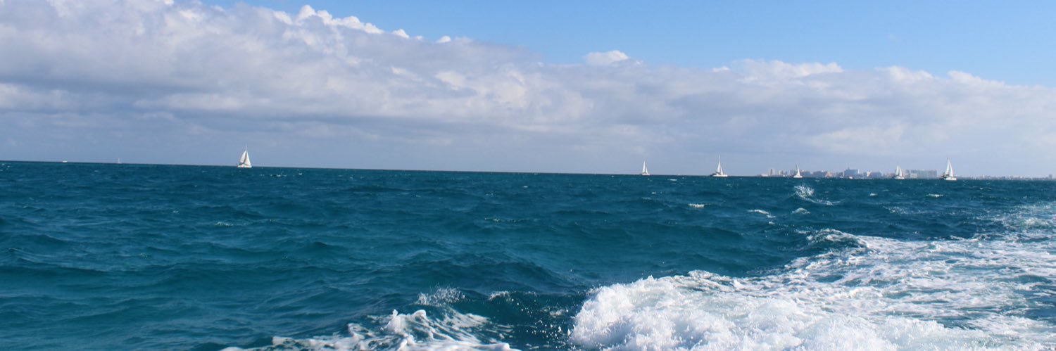 fernandaco's profile banner image