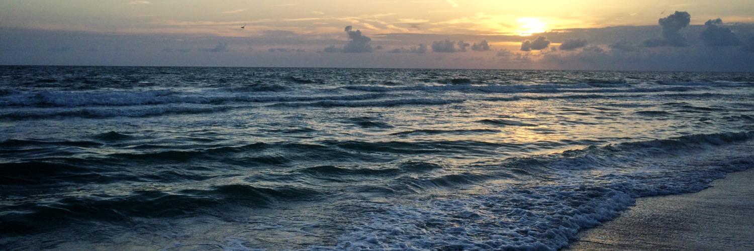 David Ornstein banner