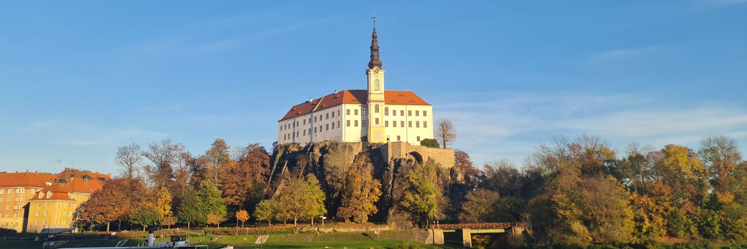 letchocz's profile banner image