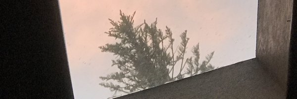 sag02_ Profile Banner