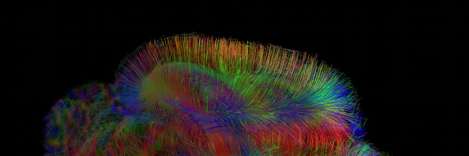 projbrainlight's profile banner image