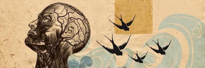 illusiogn's profile banner image
