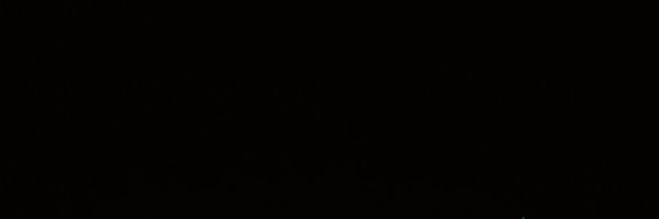 cdthbot Profile Banner