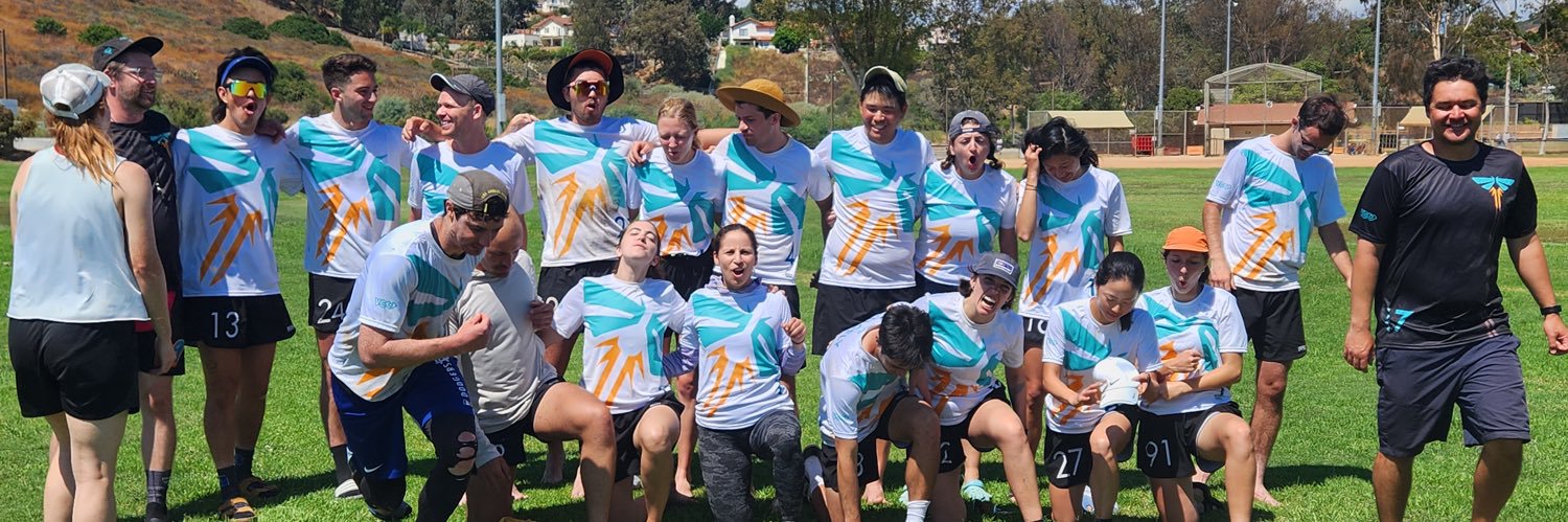 Firefly Disc Club banner