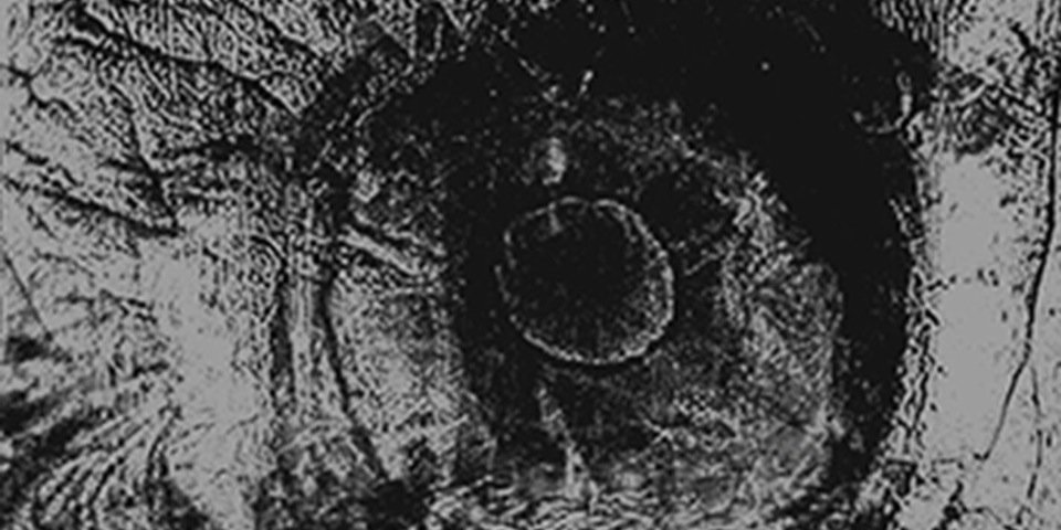 audiofinch's profile banner image