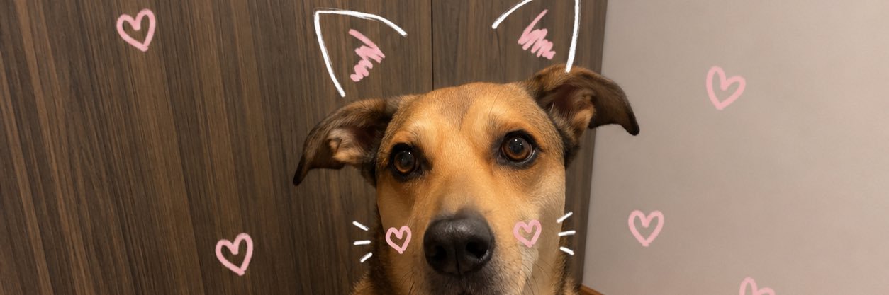 majiween's profile banner image