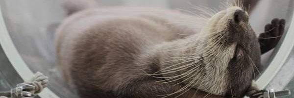 ashyta_'s profile banner image