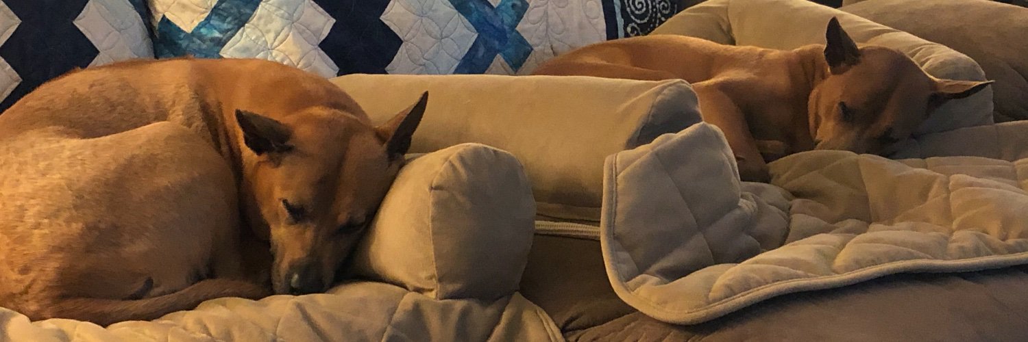 Jacitayoung's profile banner image
