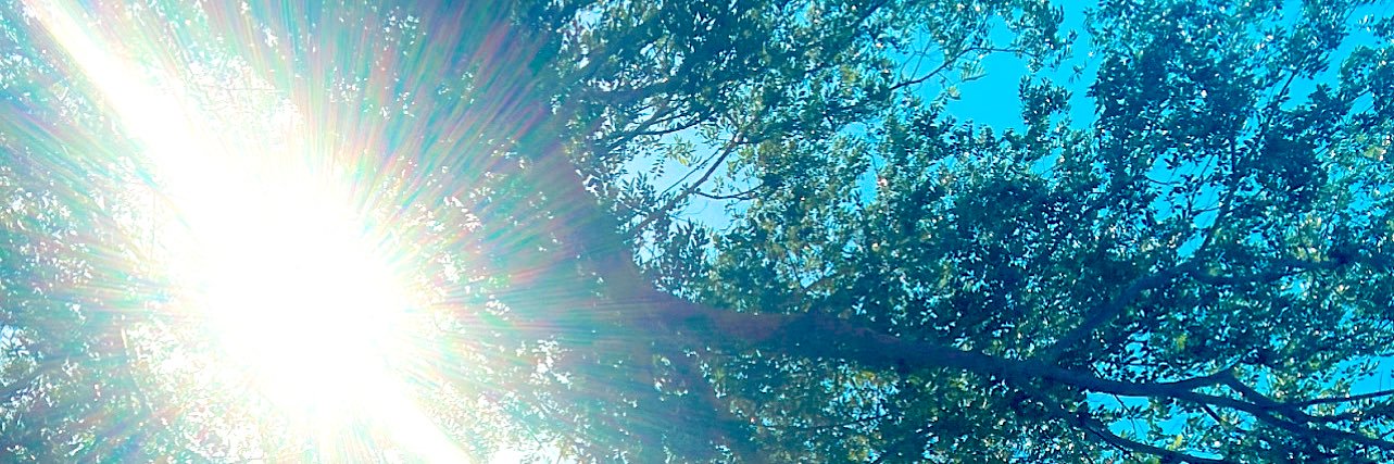 meccah_muhammad's profile banner image