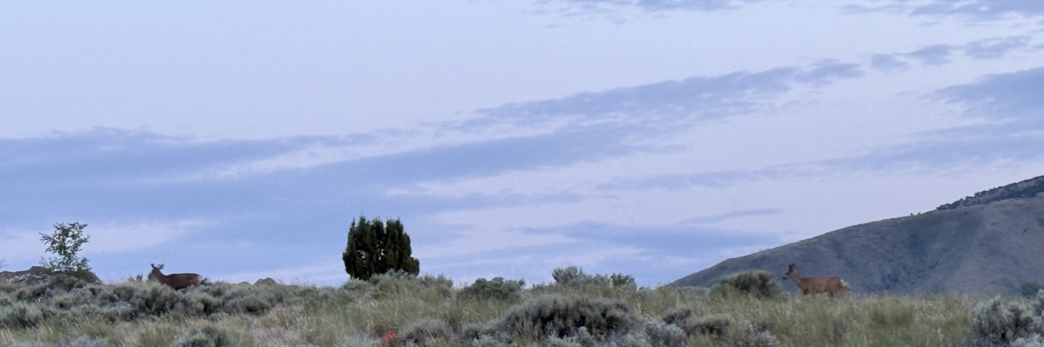 ethan_flabel3's profile banner image