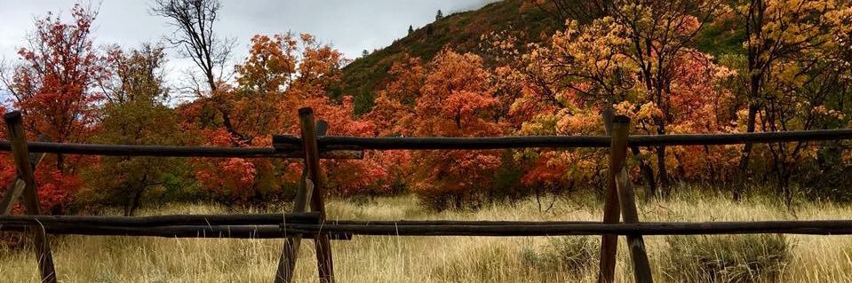 thb82's profile banner image