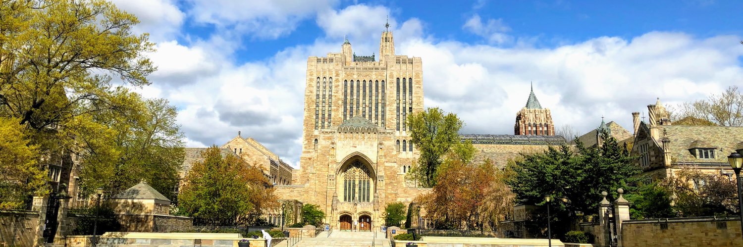 Solmaz Afshar banner