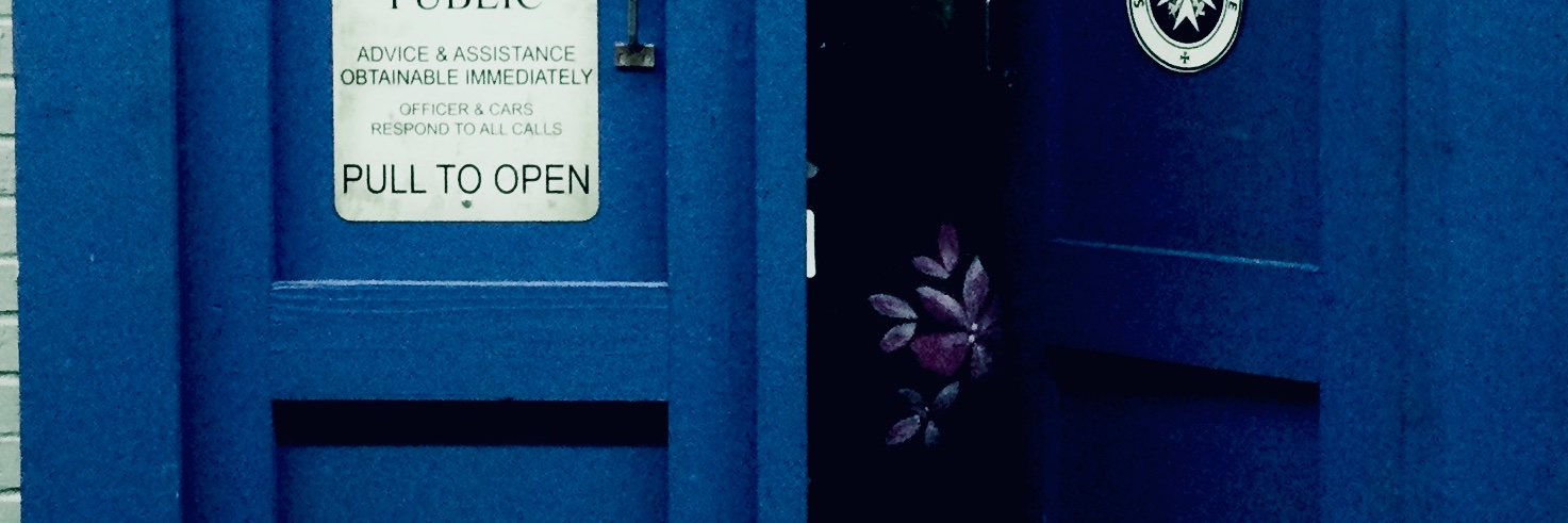 Eva D B Fain, BSN MPH RN CDE, CHES banner