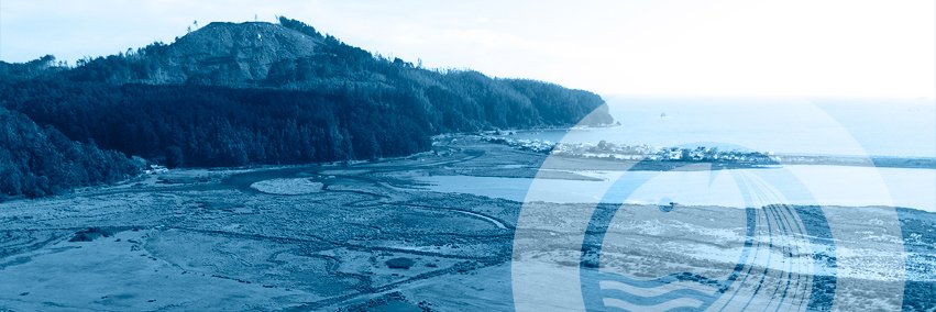 crea_ucsc's profile banner image
