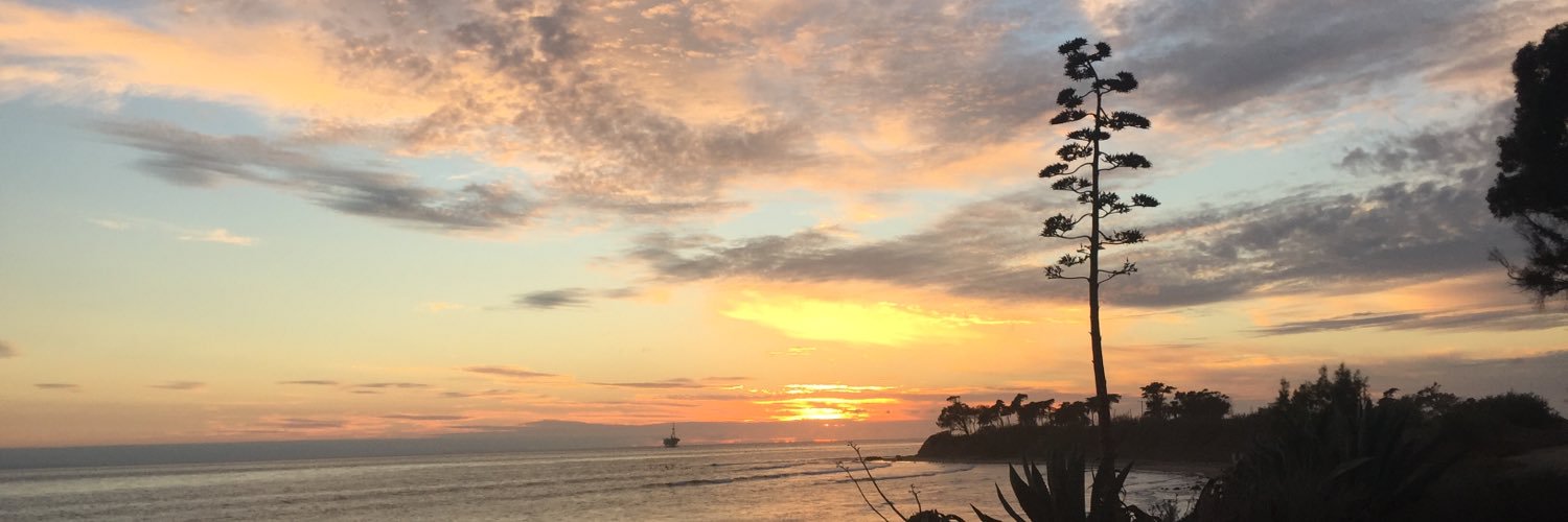 EmilyMartony's profile banner image