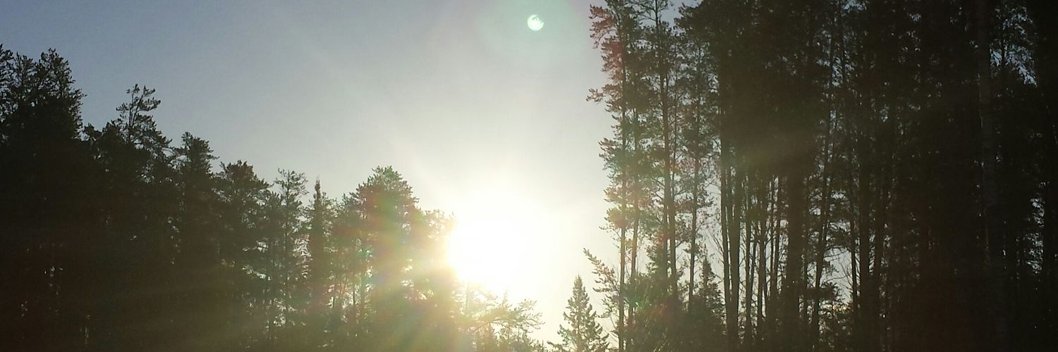 JulieConklin5's profile banner image
