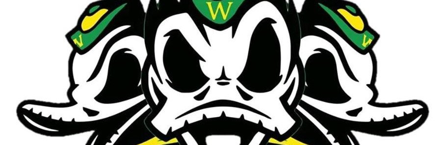 WestLakeDucks's profile banner image