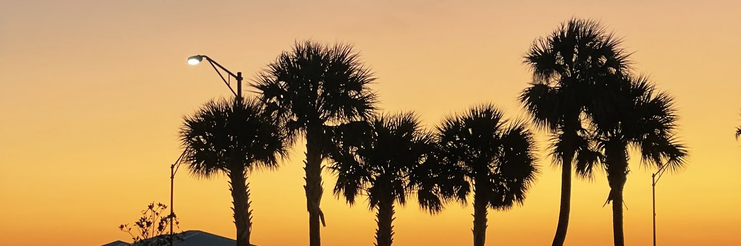 drivenmomma's profile banner image