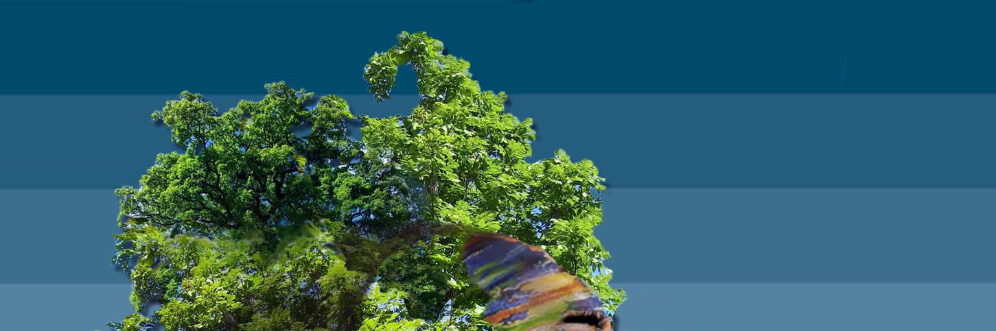 SteezyHDWorld's profile banner image