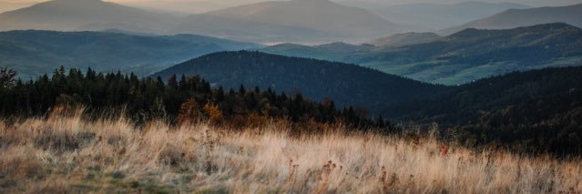 claireboess's profile banner image