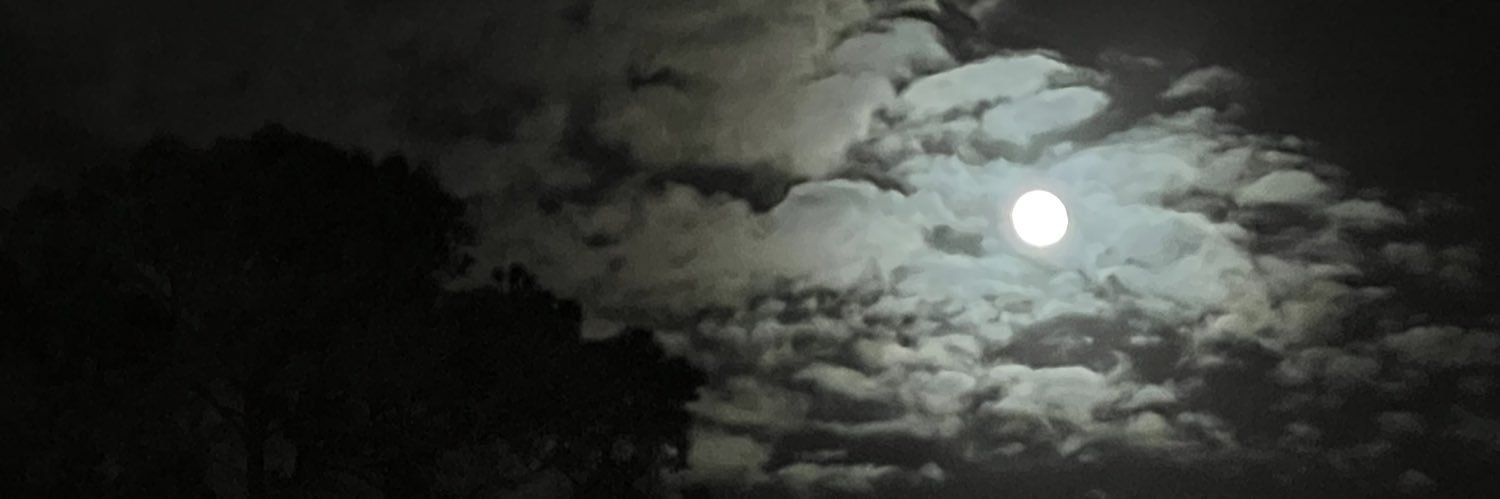 Kaylazombie64's profile banner image