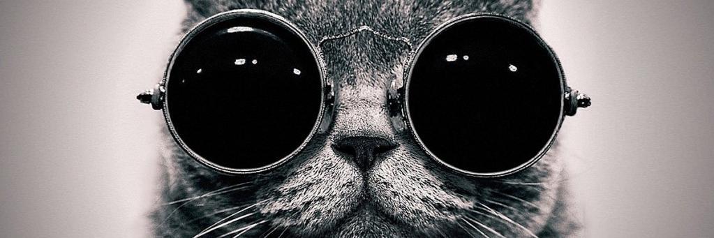 slcbrl's profile banner image