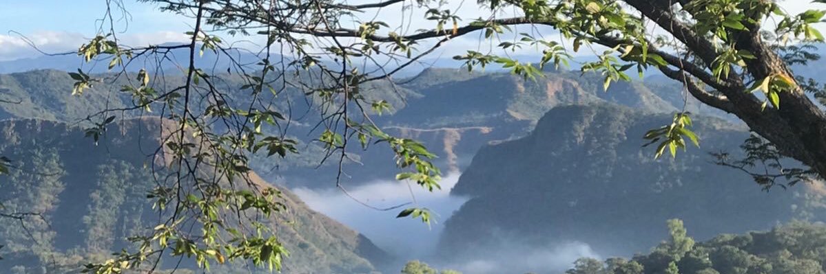 esamagdira's profile banner image