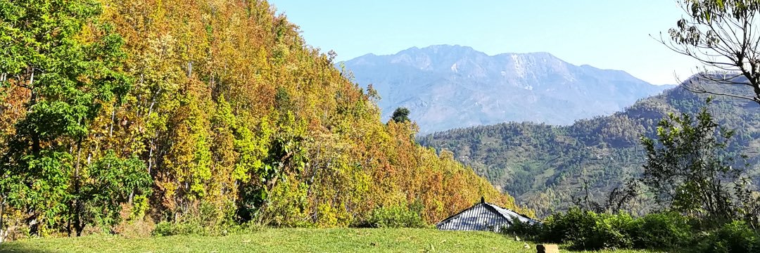 GiriSalin's profile banner image
