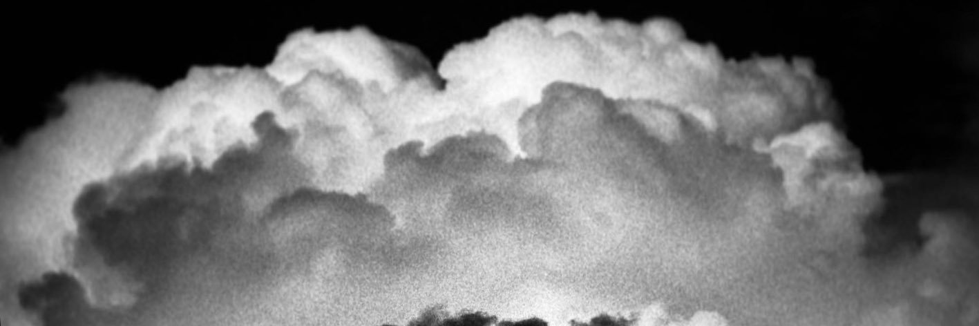 Adam banner
