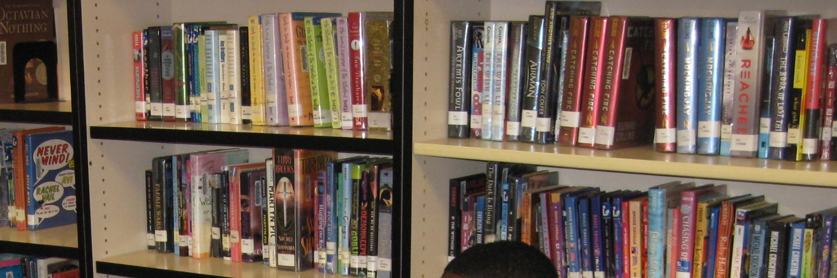 Allyson Bogie banner