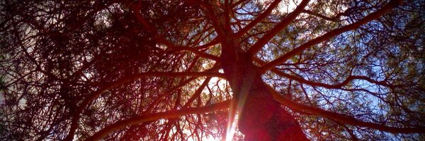 t_trudeau Profile Banner