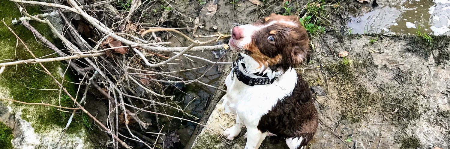 Eric Perrmann banner