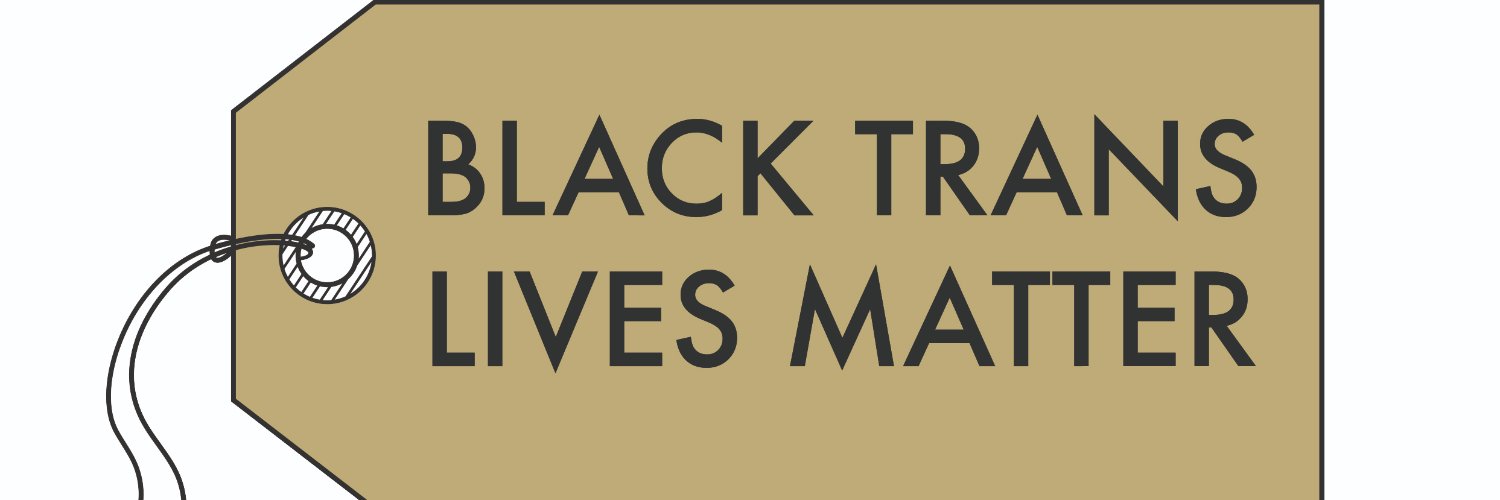 Museum of Transology banner