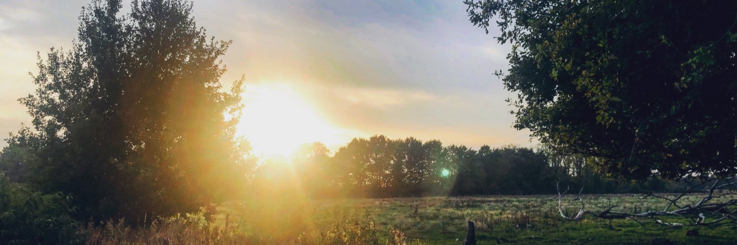 ArthurDalle's profile banner image