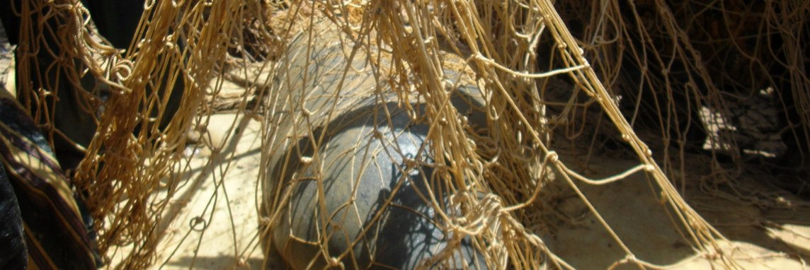 Andrée Prisca NDOUR banner