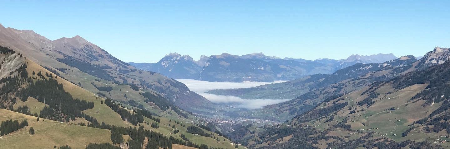 Peter Schibli banner