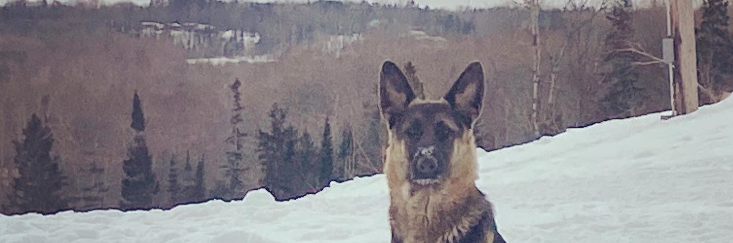 Dylan_RCampbell's profile banner image